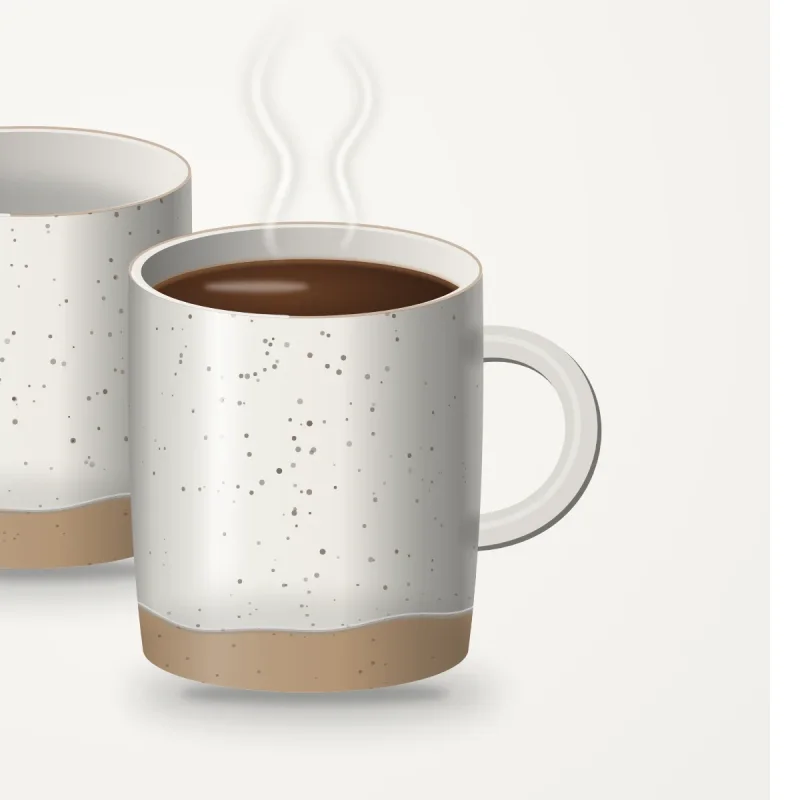 Havenly Stoneware Mug Set of 2