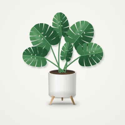 Havenly Faux Monstera in Ceramic Planter