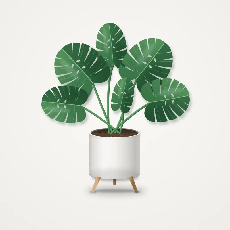 Havenly Faux Monstera in Ceramic Planter