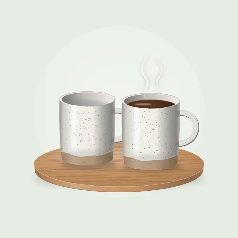 Havenly Stoneware Mug Set of 2